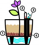 Self watering vector with numbers